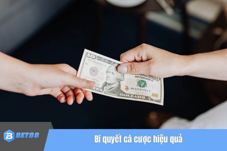 Bí quyết cá cược hiệu quả